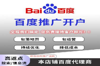 竞价排名优化策略案例分析